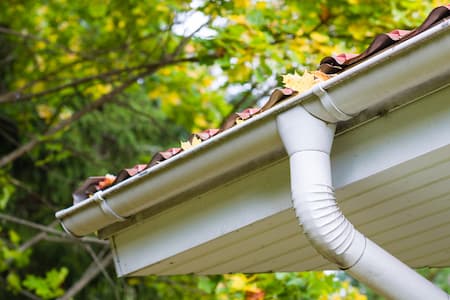 Gutter Cleaning For A Healthy Home