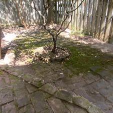 Paving-Stone-Patio-Restoration-in-Alexandria-VA 0